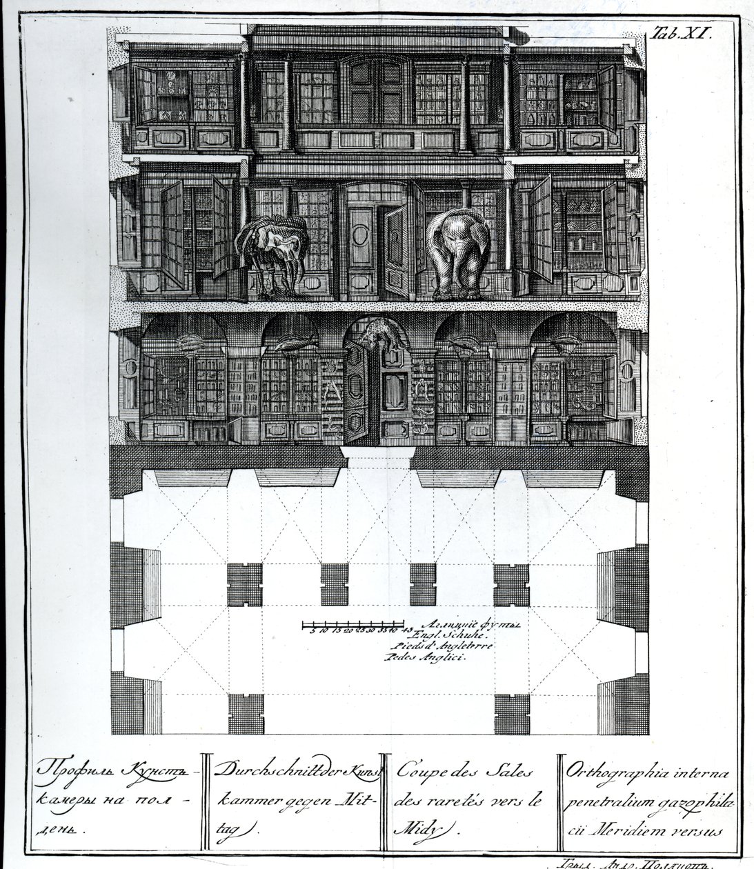 Vue en coupe de la Salle des Raretés vers le sud, illustration dans Chambers of the St. Petersburg Imperial Academy of Sciences Library and Gallery showing Plans, Facades and Profiles par Johann - Russian School