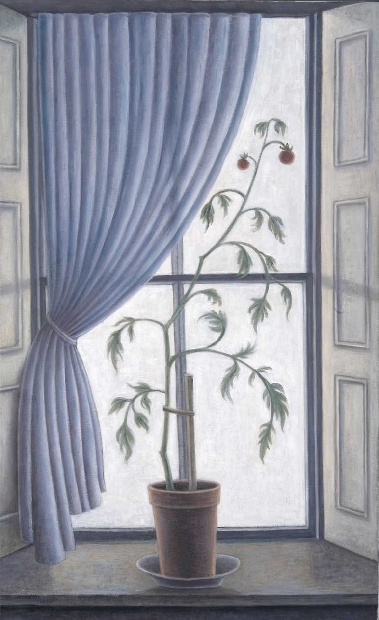 Plante à la fenêtre, 2003 - Ruth Addinall