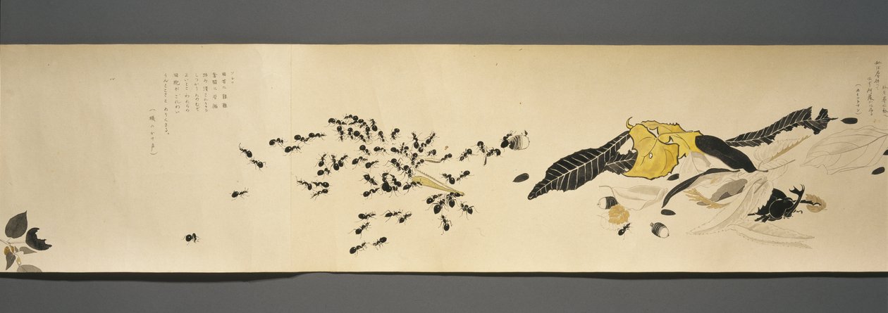 Amis de la faune (Yasei no Tomo), période Taisho, 7e année Taisho, vers 1918 - Ryoka Kawakami