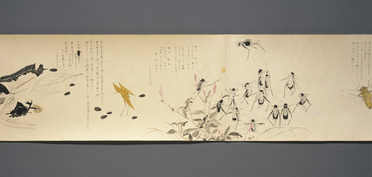 Amis de la faune (Yasei no Tomo), période Taisho, 7e année Taisho, vers 1918 - Ryoka Kawakami