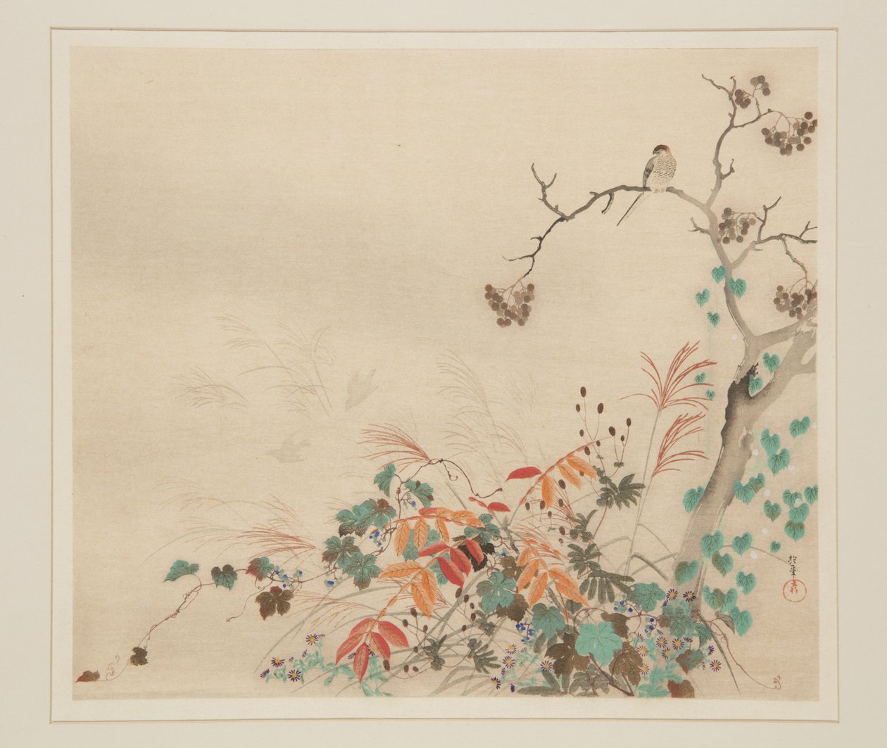 Faucon sur des plantes - Sakai Hoitsu