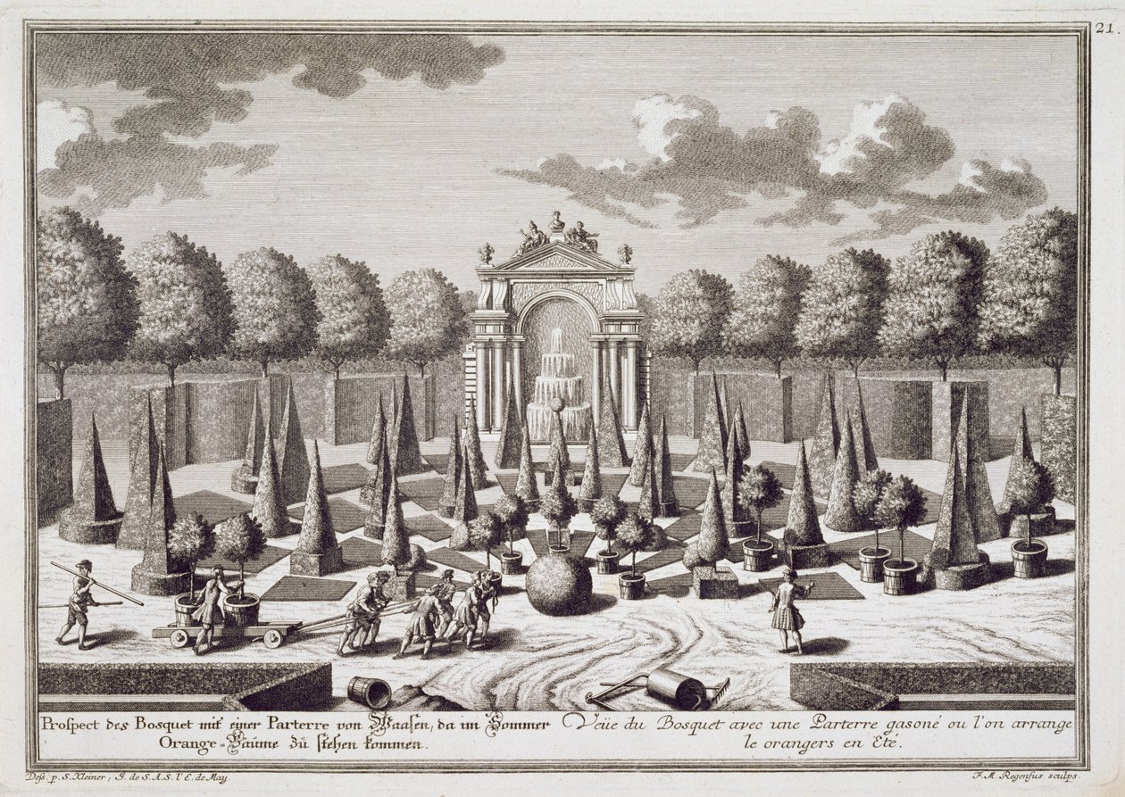 Un parterre avec des orangers dans le jardin du palais Lichtenstein, Vienne, gravé par Franz Michael Regenfus (c.1712-80), publié c.1724-37 - Salomon Kleiner