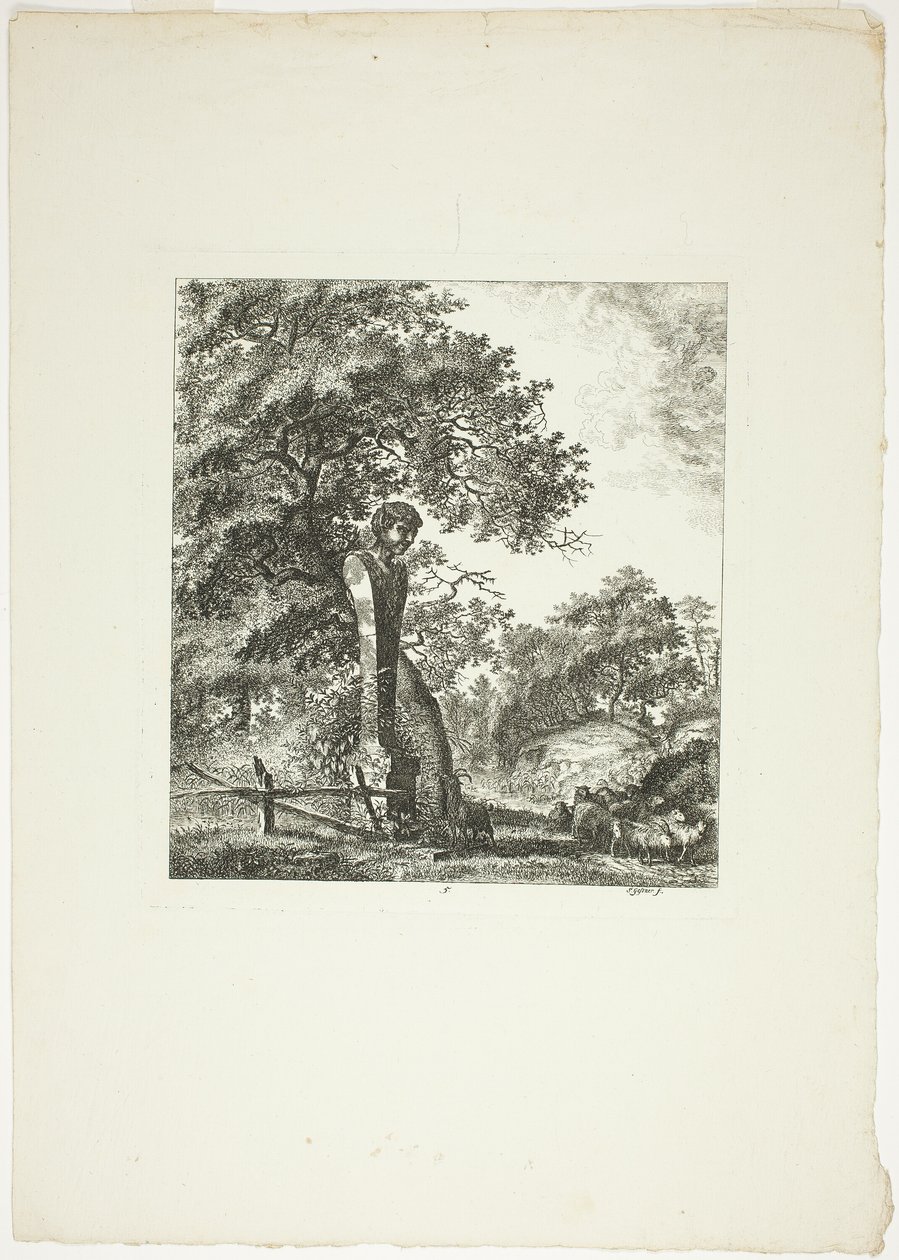 Mouton près d