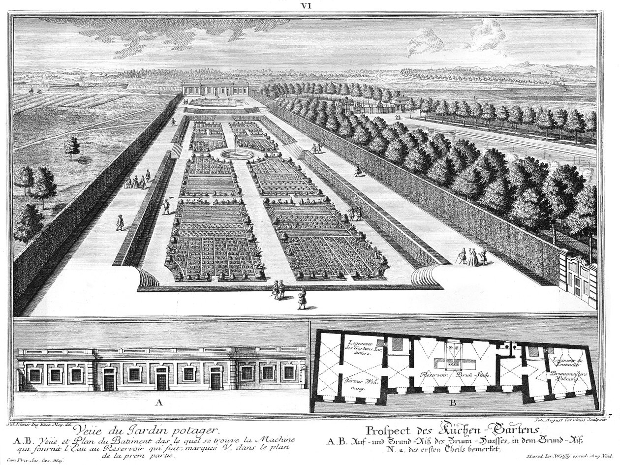 Perspective du jardin de cuisine, plan et élévation de la maison de la fontaine - Salomon Kleiner