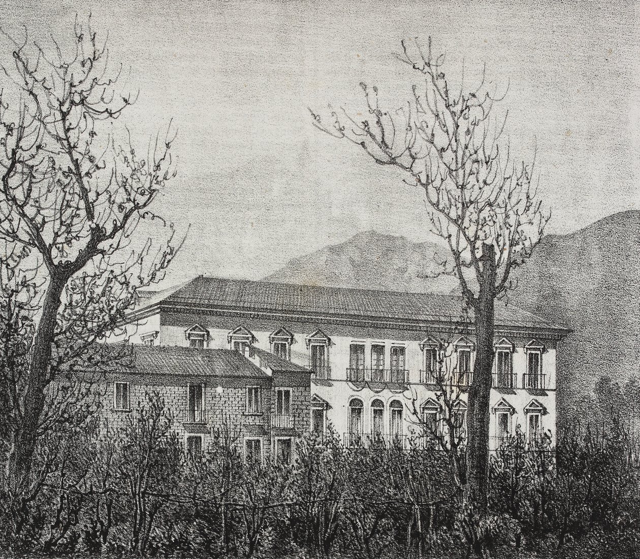 Collège d