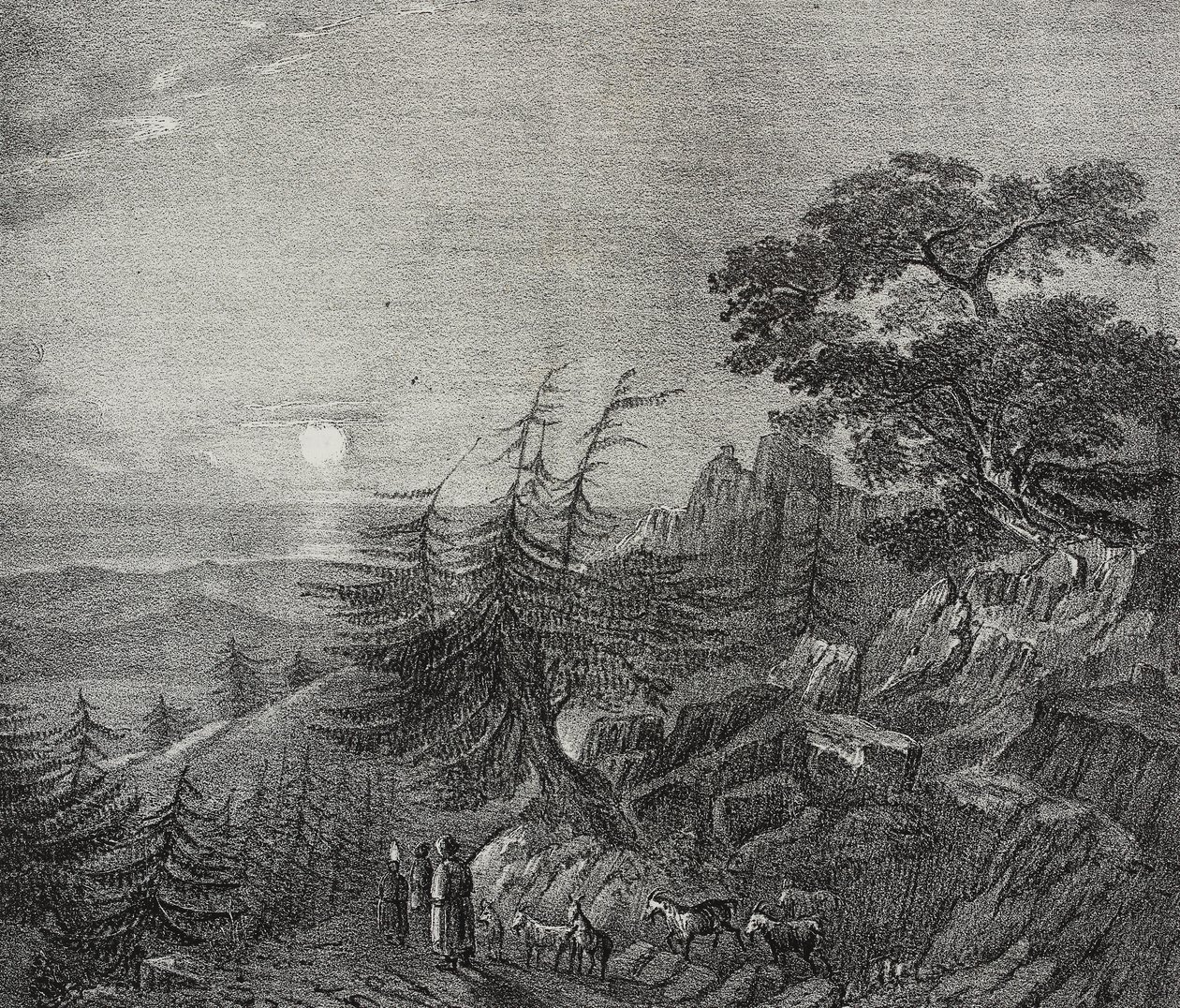 Paysage de la forêt de cèdres sur le mont Liban, près de Beyrouth, Liban, lithographie de Salvatore Puglia de Poliorama Pittoresco, n°11, 22 octobre - Salvatore Puglia