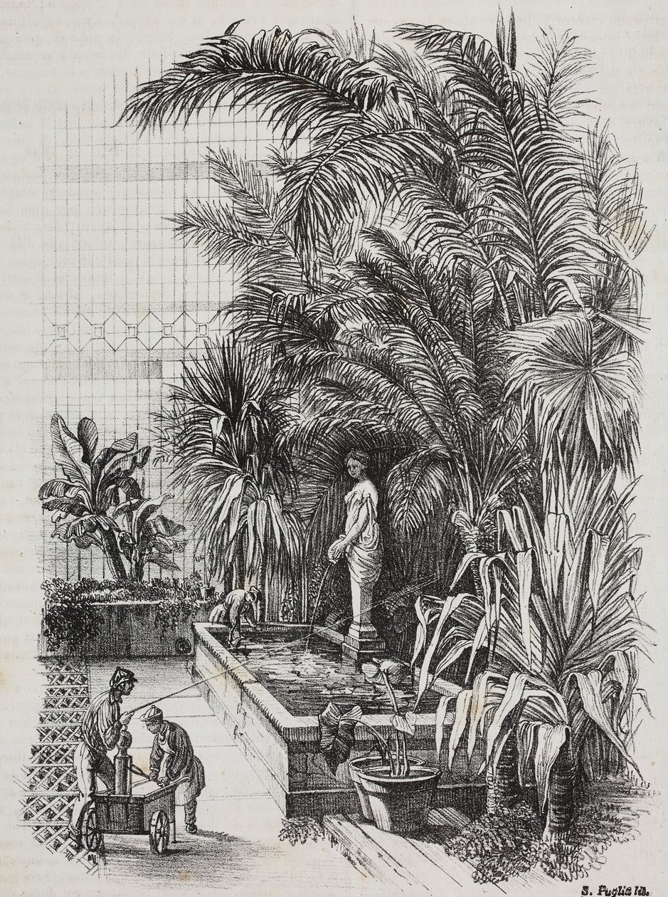 Laocoon et ses fils, statue romaine, lithographie de Salvatore Puglia de Poliorama Pittoresco, n 1, 13 août - Salvatore Puglia