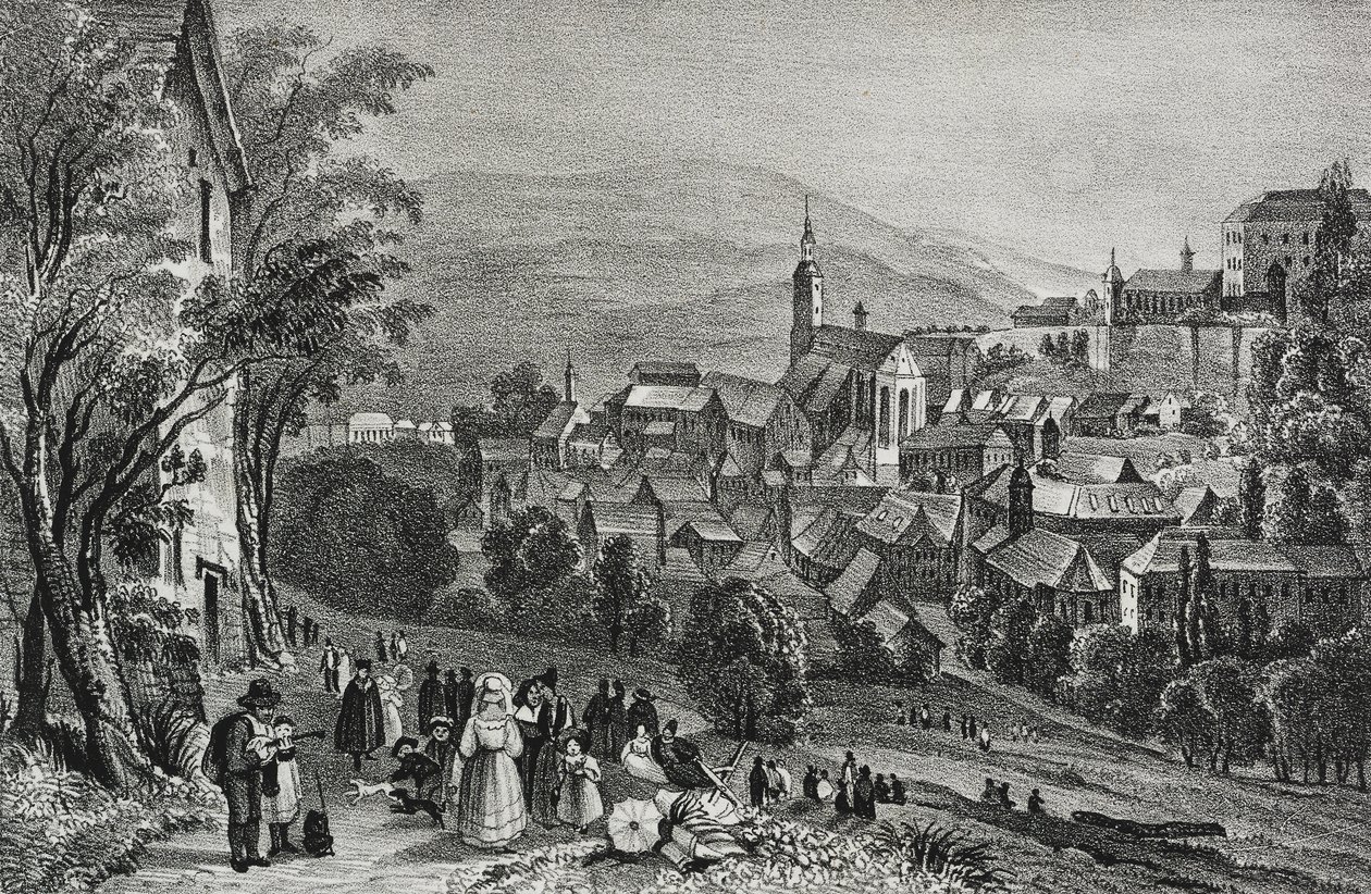 Vue de Baden, Suisse, lithographie de Salvatore Puglia de Poliorama Pittoresco, n 29, 26 février - Salvatore Puglia