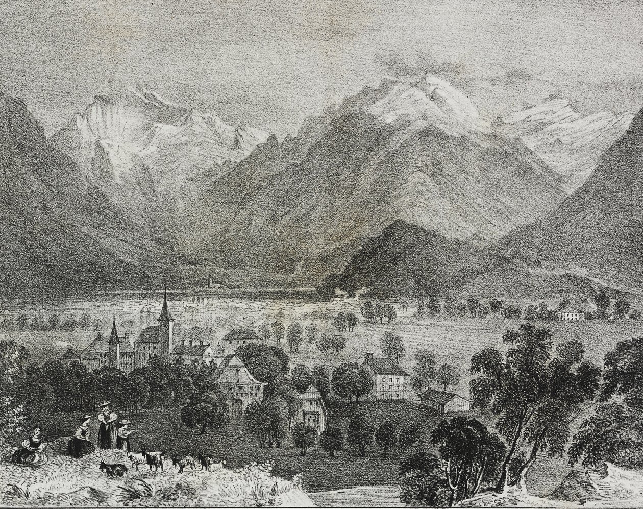 Vue d
