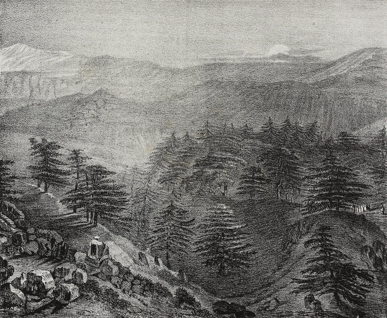 Vue du Mont Liban avec ses célèbres cèdres, Liban, lithographie de Salvatore Puglia de Poliorama Pittoresco, n 10, 15 octobre - Salvatore Puglia