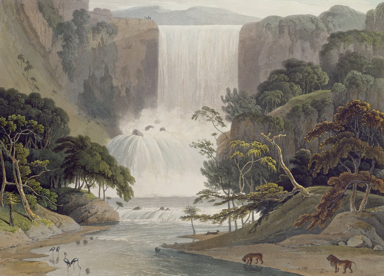 Cascade sur Sneuwberg, planche 25 de 