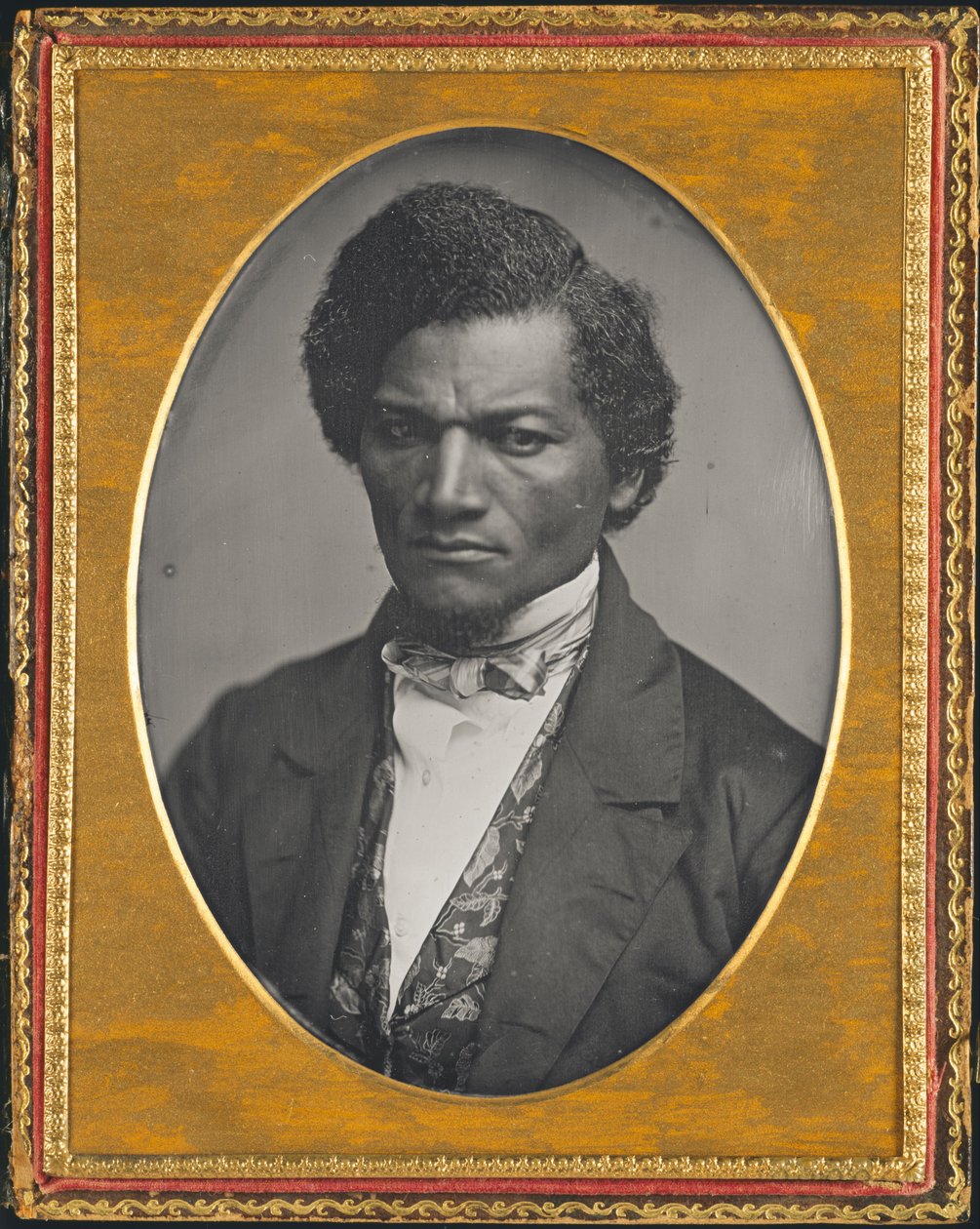 Frederick Douglass - Samuel J. Miller