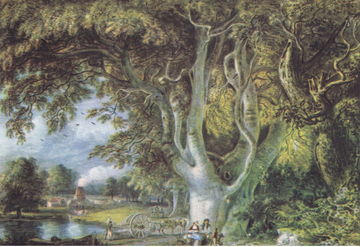 Chênes, Shoreham, Kent, Nature en Grande-Bretagne publié par Collins, 1946 - Samuel Palmer