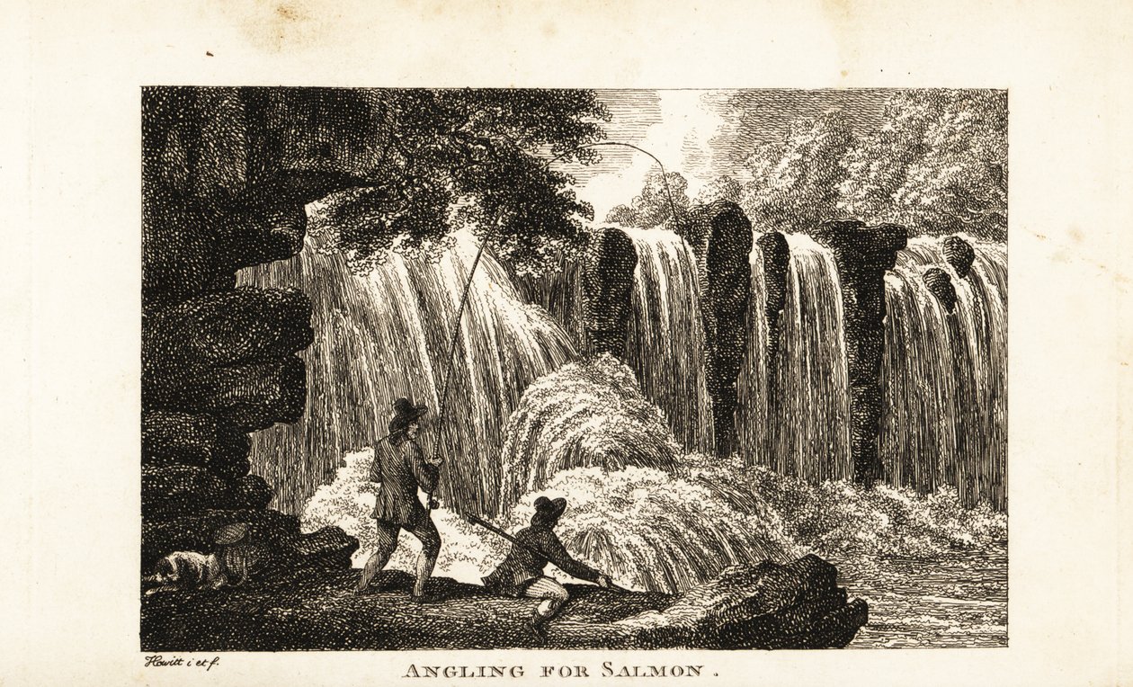 Pêcheur pêchant le saumon sur les rives d