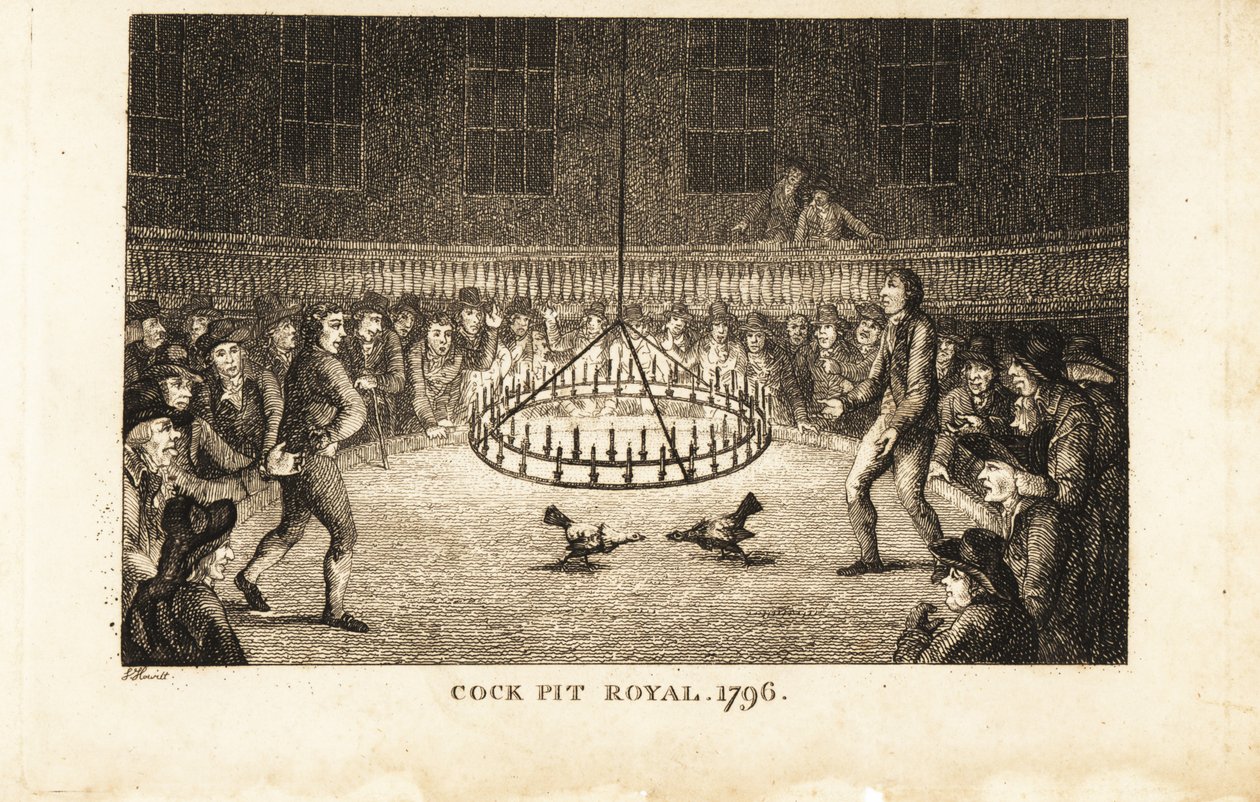 Parieurs regardant un combat de coqs à la lumière des bougies au Cock Pit Royal, St - Samuel (after) Howitt