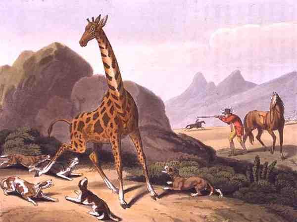 La chasse au caméléopard (gravure) - Samuel (after) Howitt