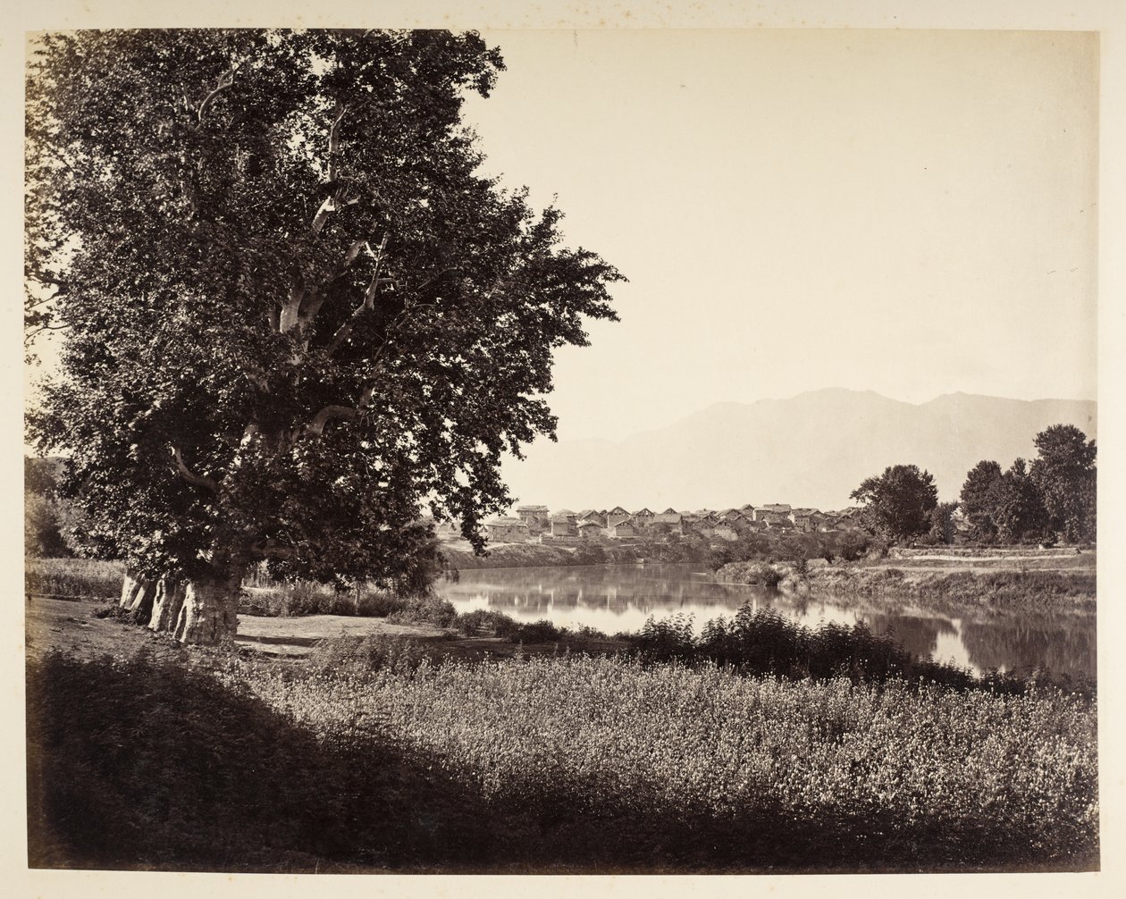 Bij Bihara sur le Jhelum - Samuel Bourne
