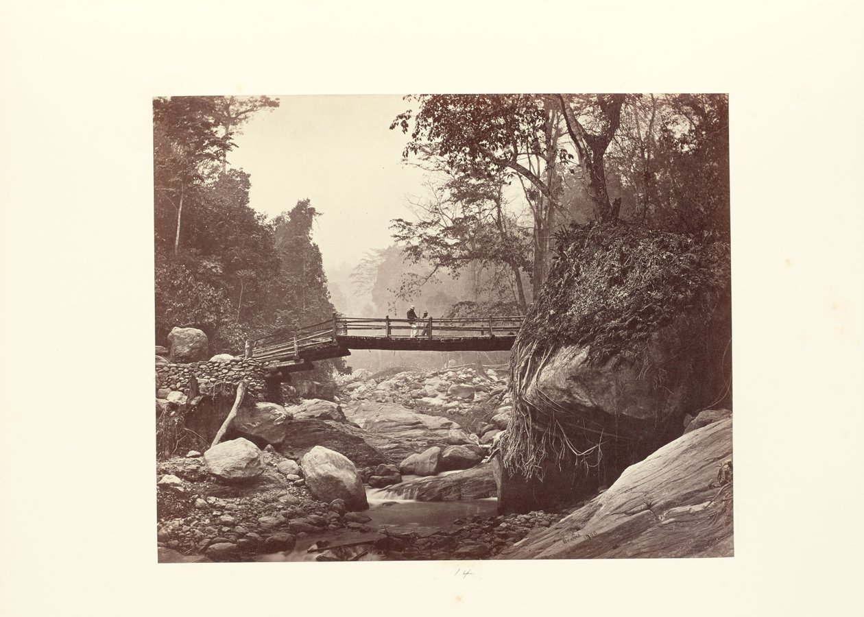 Darjeeling ; pont pittoresque sur le Rungnoo en contrebas de Ging - Samuel Bourne