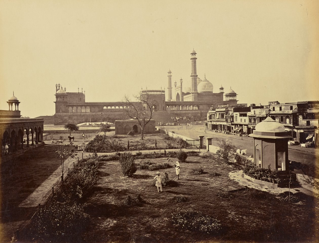 Delhi ; le Jumma Musjid, depuis le nord - Samuel Bourne