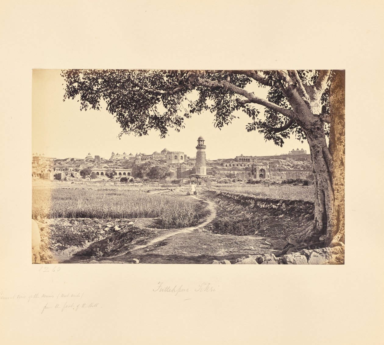 Fatehpur Sikri; vue générale des ruines (côté ouest), depuis le pied de la colline - Samuel Bourne