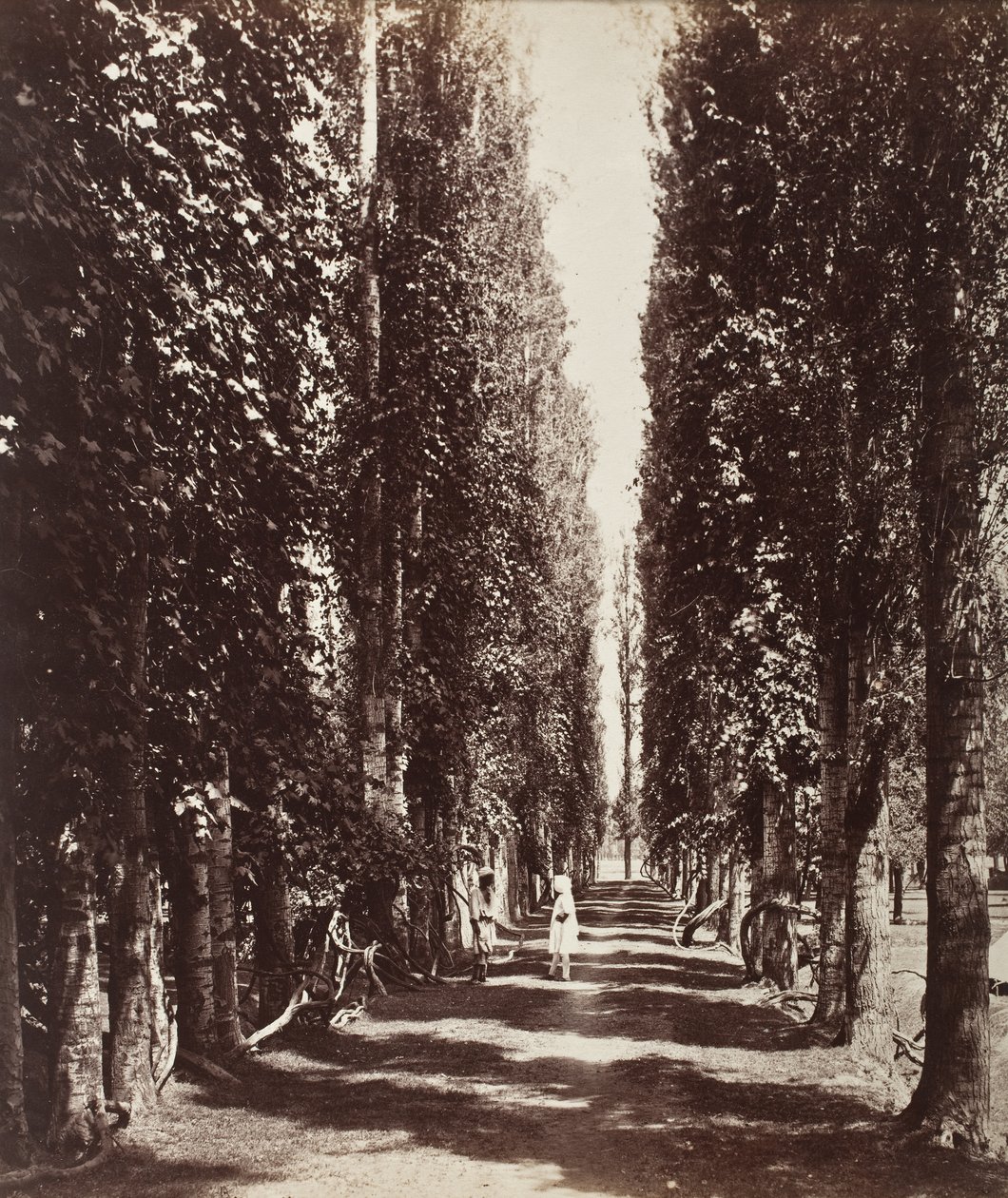 Inde - Samuel Bourne