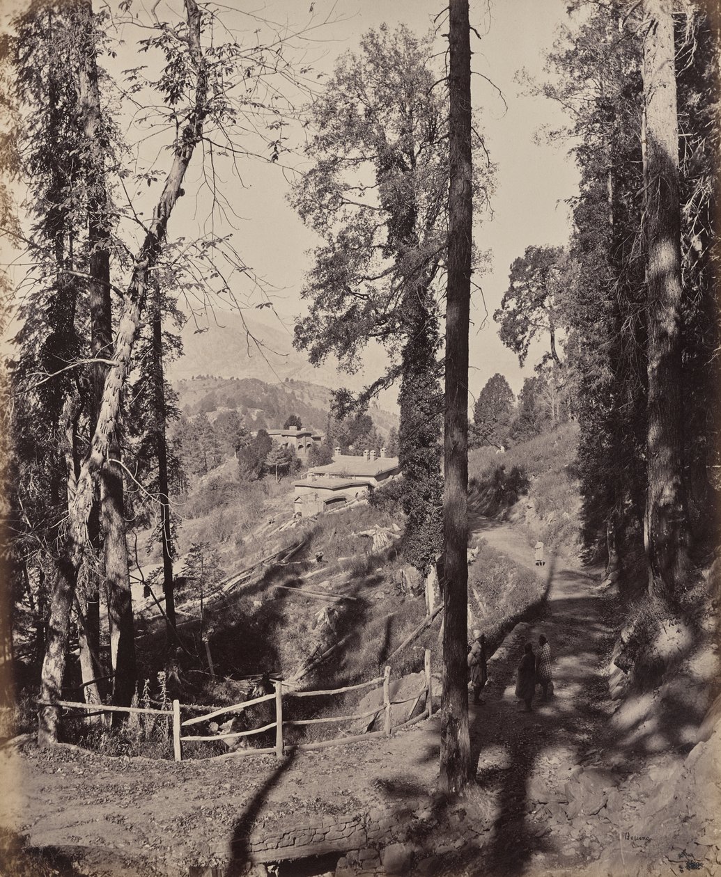 Murree. Une station de montagne dans l’Himalaya, vue à travers la forêt - Samuel Bourne