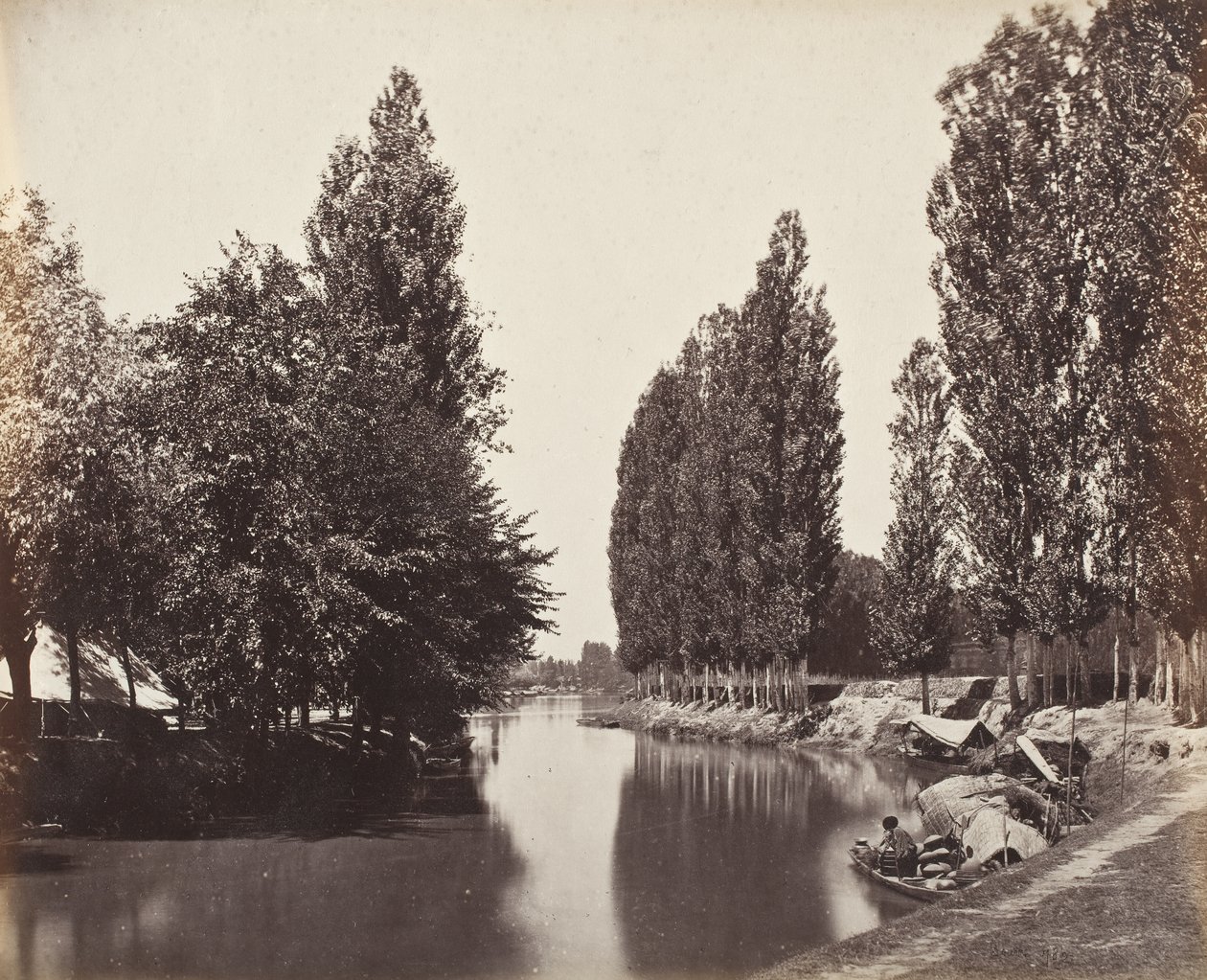 Rivière avec des arbres (Inde) - Samuel Bourne