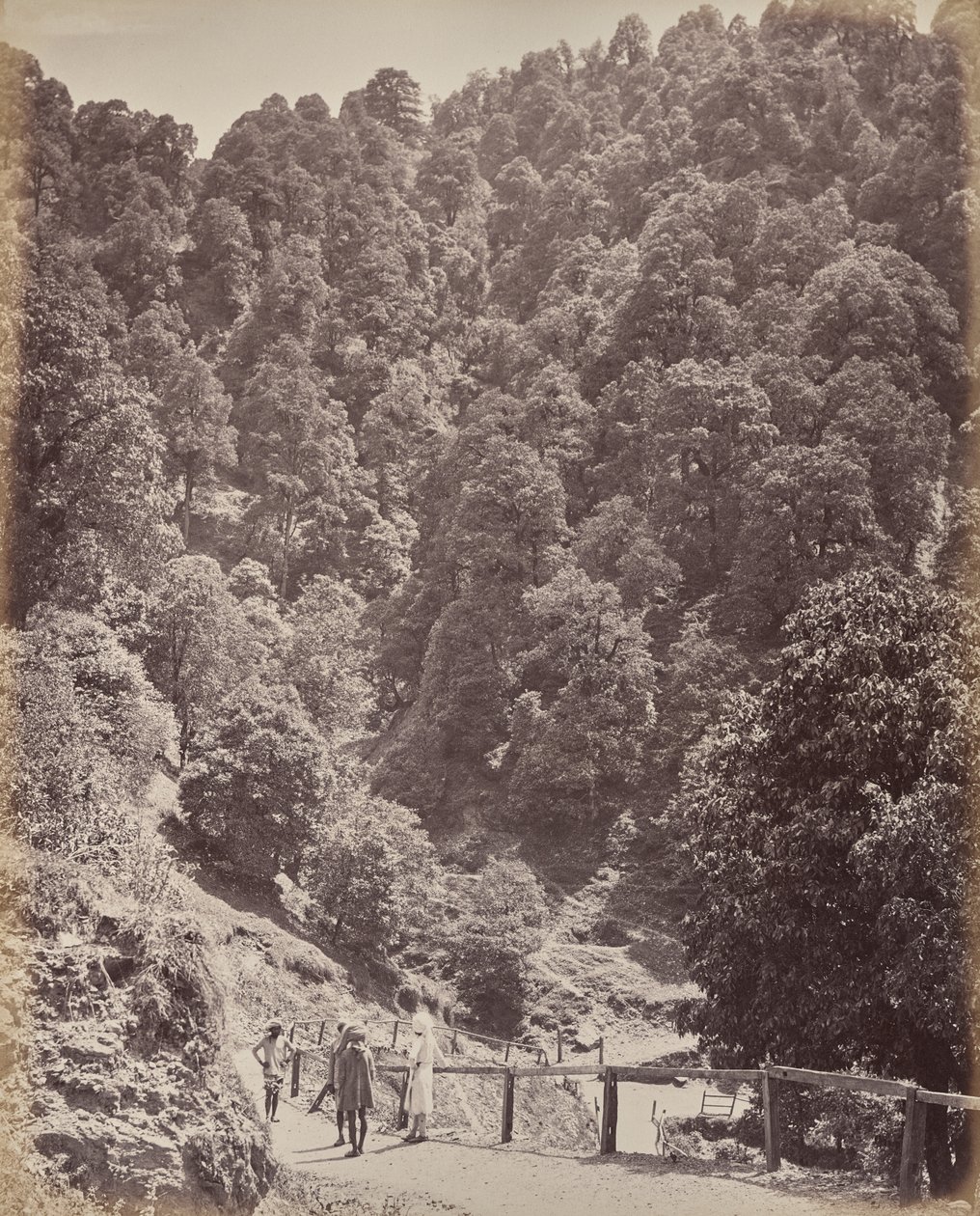 Shimla. Vue vers le nord du mont Jakko - Samuel Bourne