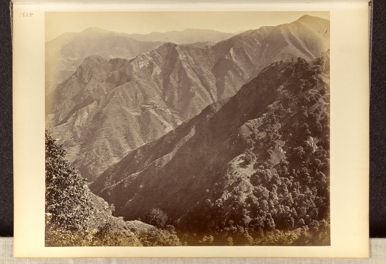 Simla; les « Khuds » au nord de Jakko, vus depuis Elysium Hill - Samuel Bourne
