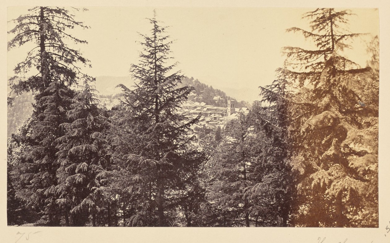 Simla ; l