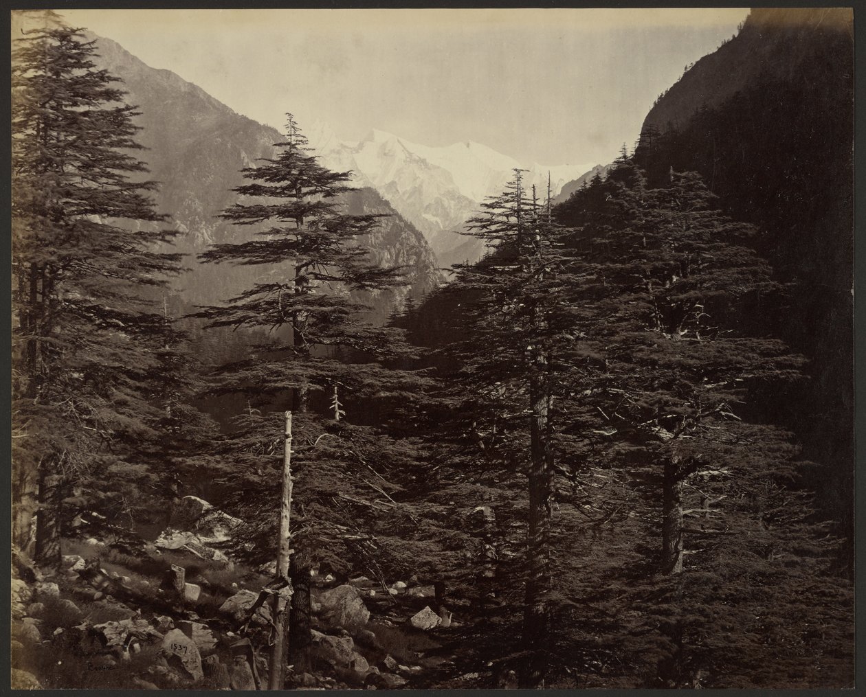 Pics enneigés près de Gangotri, depuis Bhairamghati - Samuel Bourne