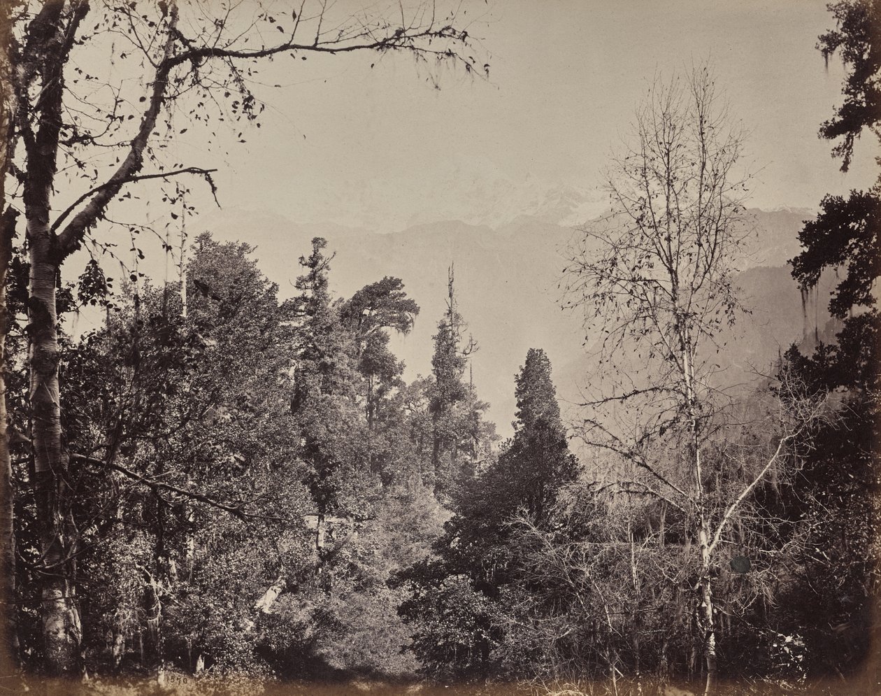 Le haut Himalaya. Vue du mont Bunderpoonch avec le pic Jumnootri, 20,458 au-dessus du niveau de la mer - Samuel Bourne