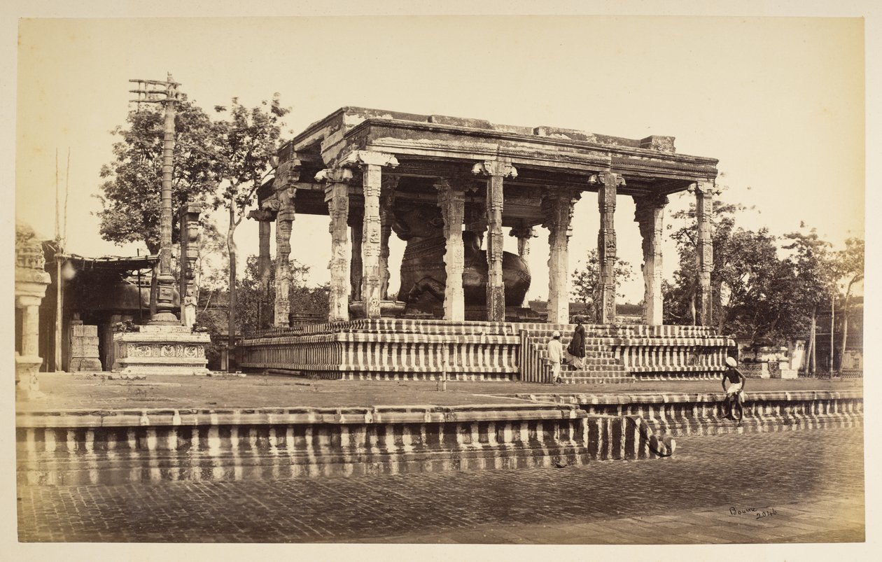 Le grand Taureau de pierre, Tanjore - Samuel Bourne