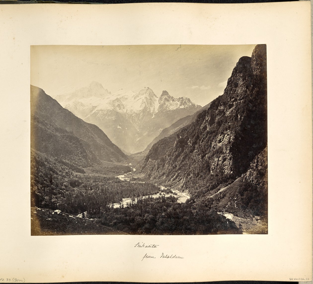 Vallée boisée depuis Fulaldaru, avec les pics de Srikanta au loin - Samuel Bourne
