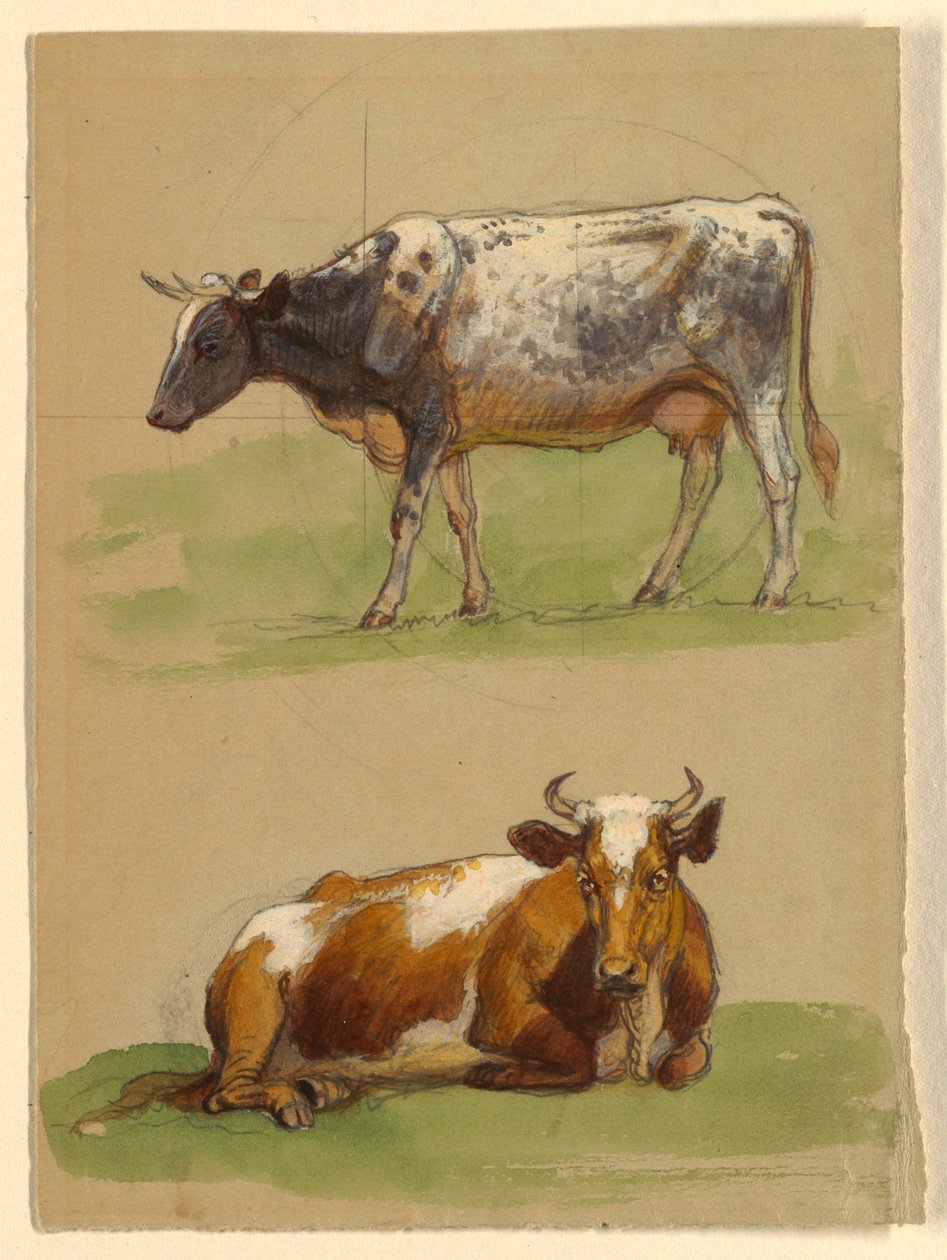 Bétail, une vache marchant et une vache accroupie - Samuel Colman