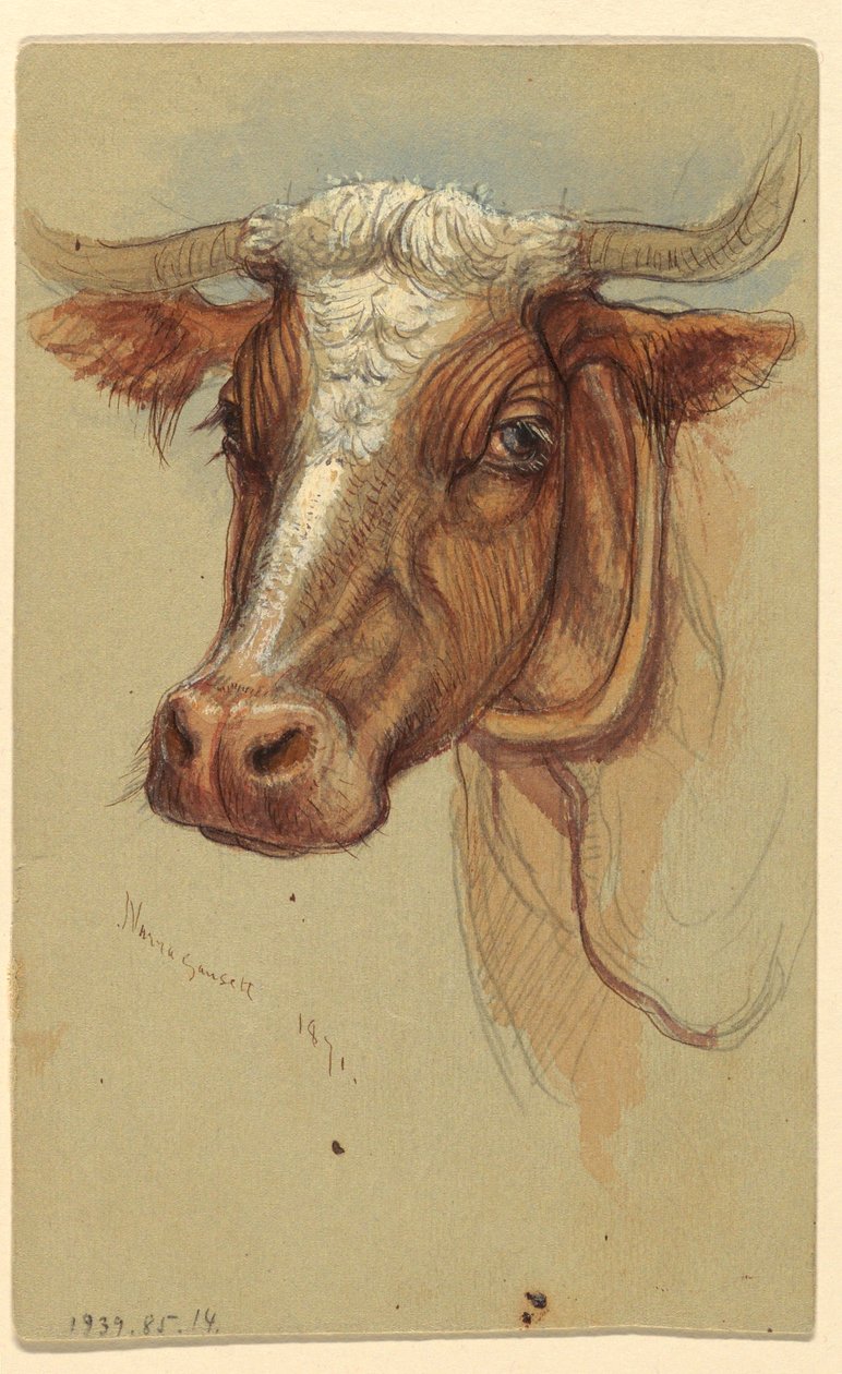 Dessin, Croquis de Narragansett, Rhode Island, 1871 - Samuel Colman
