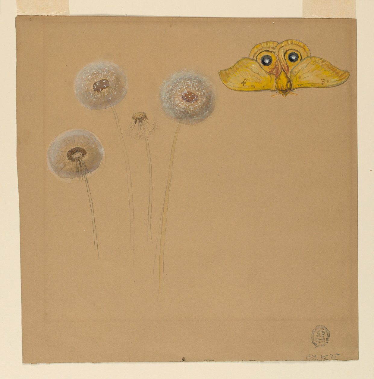 Dessin, étude d