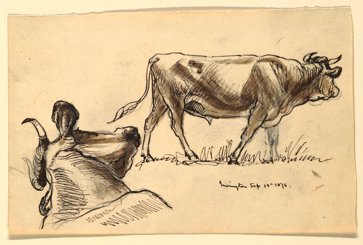 Croquis de bétail, Irvington - Samuel Colman