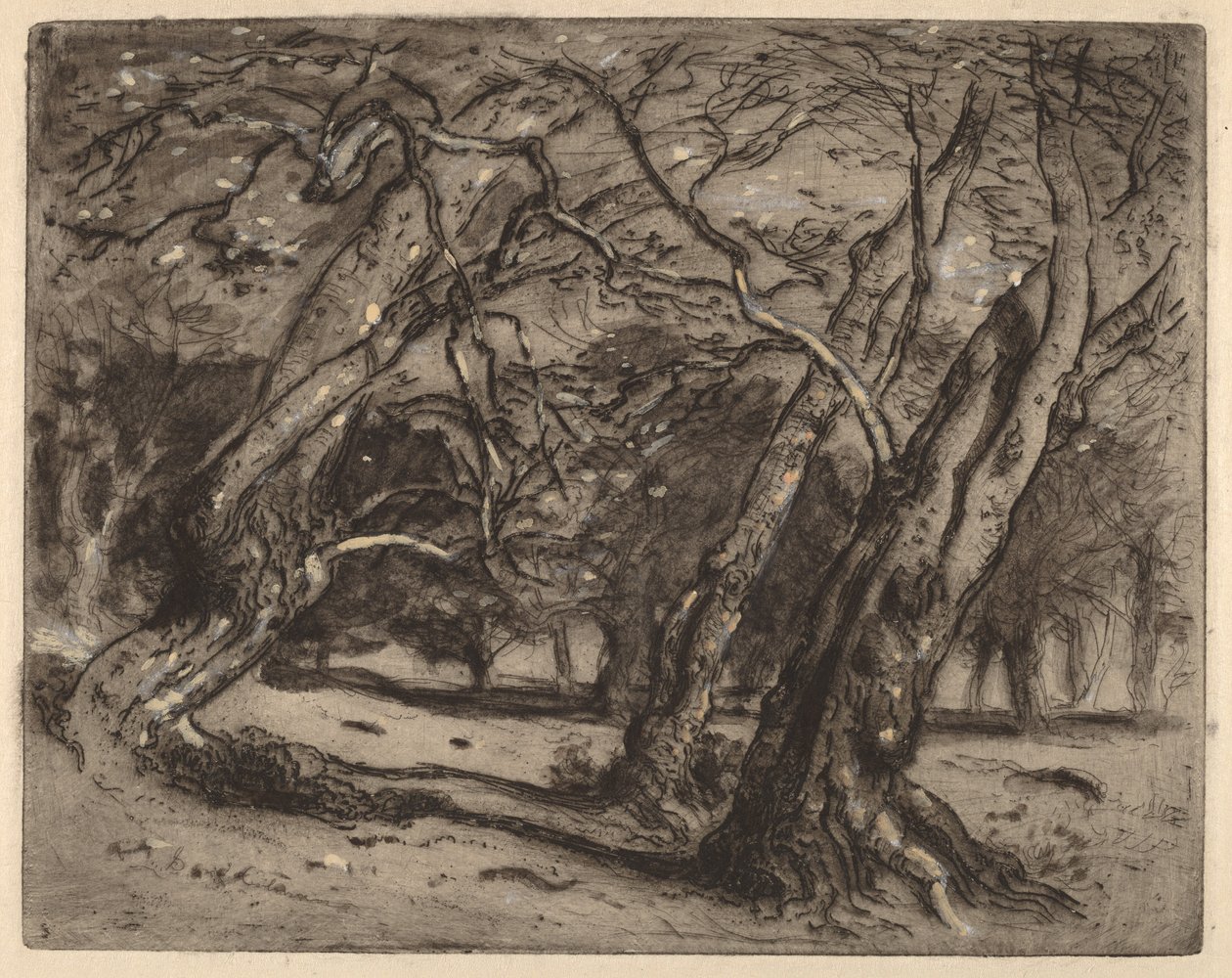 Sans titre (Paysage boisé) - Samuel Colman