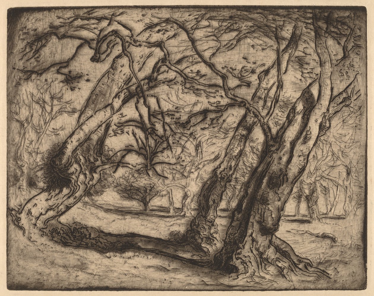 Sans titre (Paysage boisé) - Samuel Colman