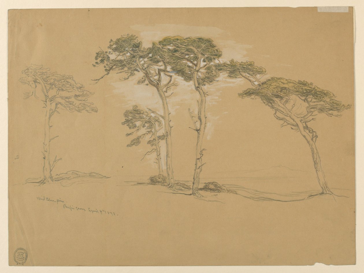 Pins balayés par le vent, Pacific Grove. Verso : Route côtière du Pacifique vers Point Sur. - Samuel Colman