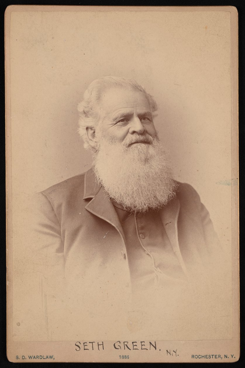 Portrait de Seth Green 1817-1888, 1886 - Samuel D Wardlaw