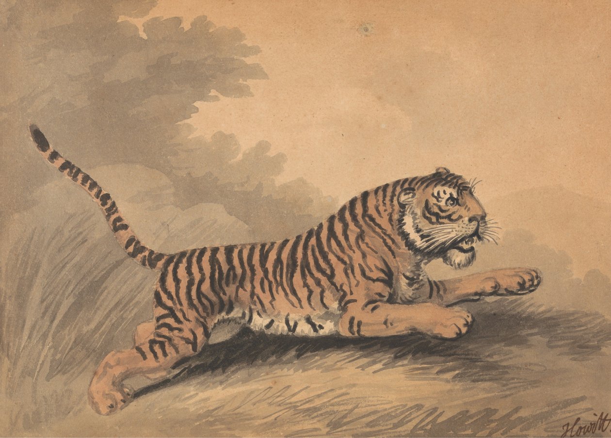 Eine Tigerin springt nach rechts - Samuel Howitt
