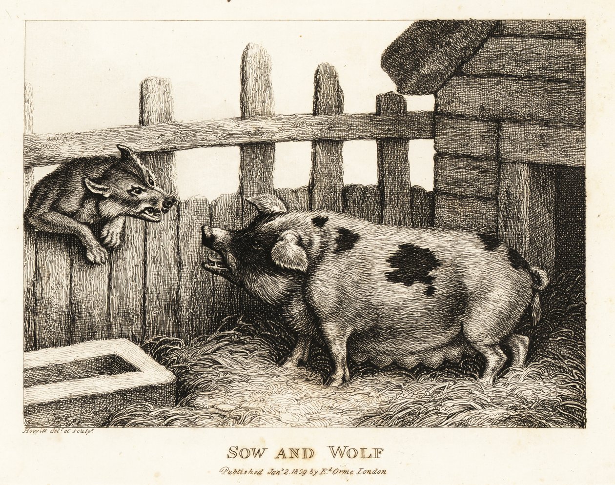 Une grande truie dans une porcherie grognant à un loup - Samuel Howitt