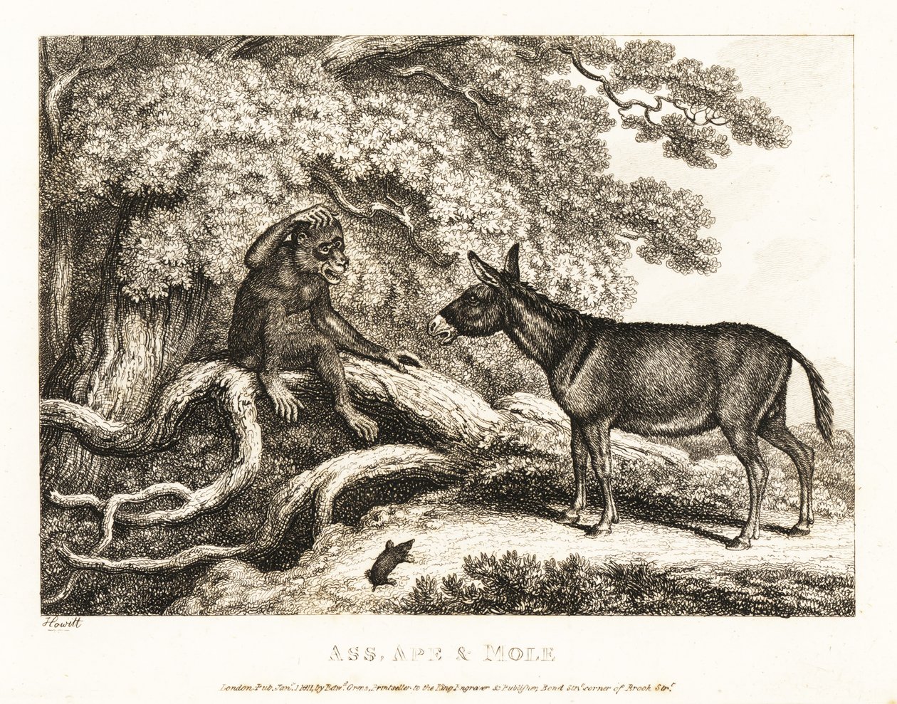 Un singe et un âne gémissent jusqu