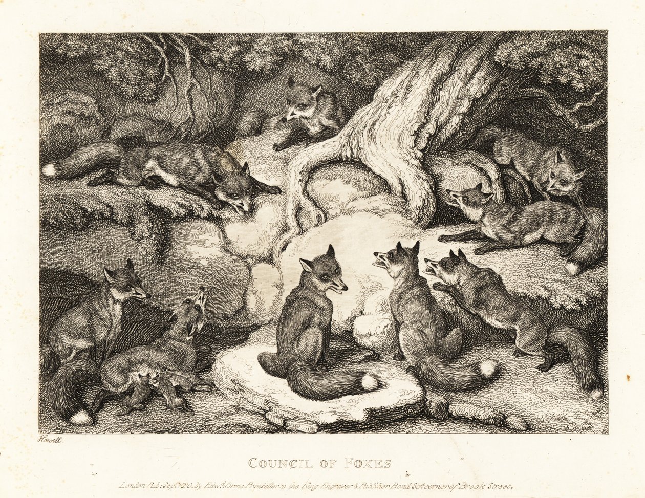 Une meute de renards se réunit dans une forêt. 1811 (eau-forte) - Samuel Howitt