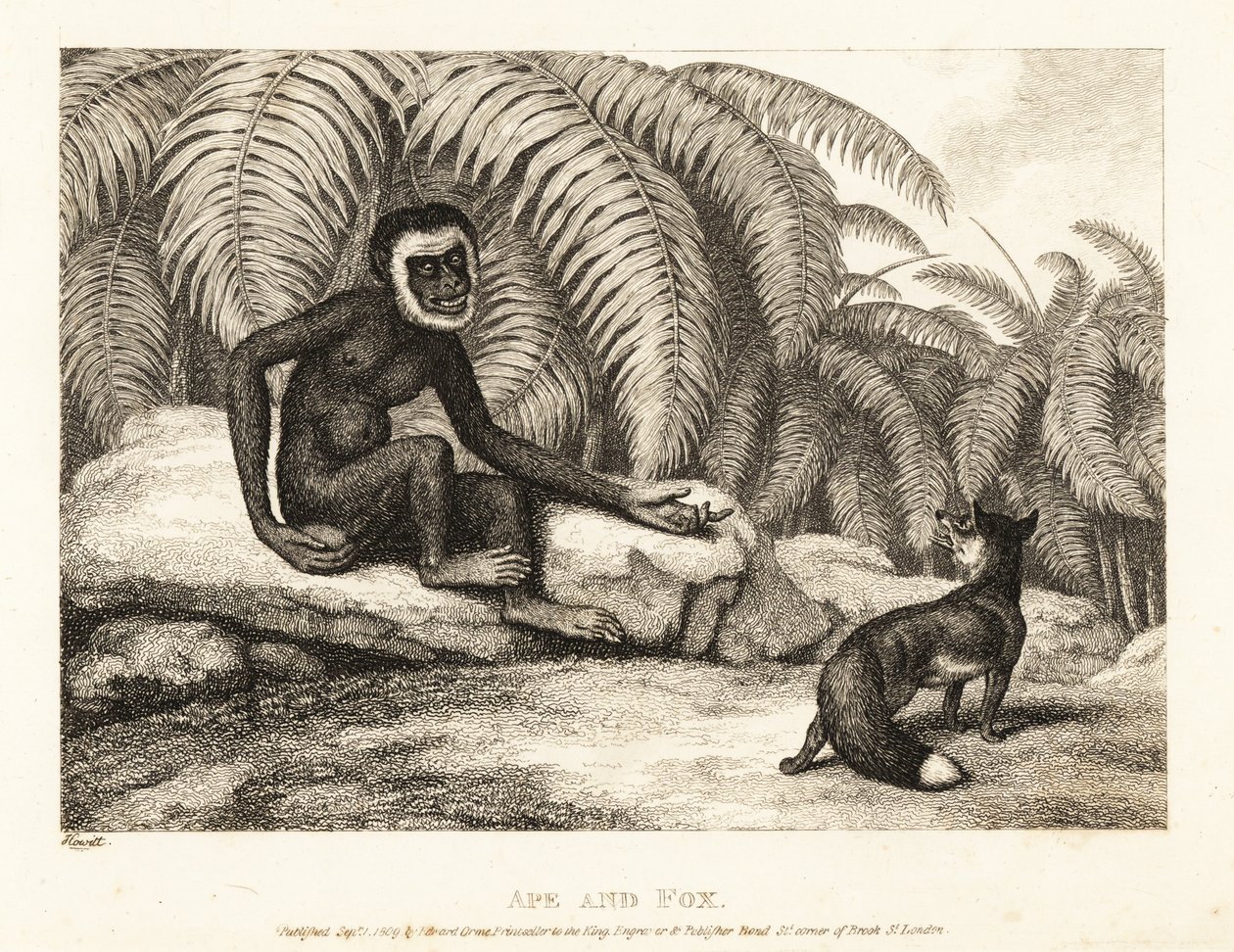 Un singe sans queue demande à un renard un peu de sa queue - Samuel Howitt