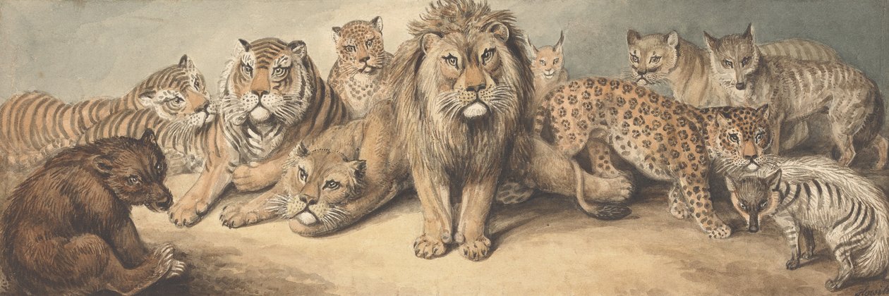 Animaux de la famille des félins, avec un ours et des renards - Samuel Howitt