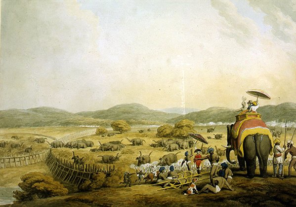 Conduite des éléphants dans un Keddah - Samuel Howitt
