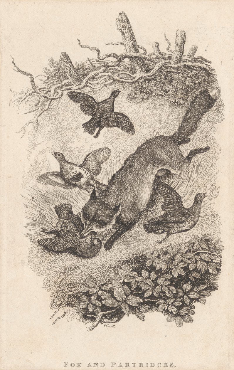 Renard et perdrix - Samuel Howitt